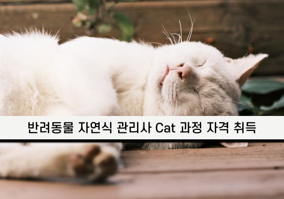 �̹���
